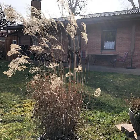 Ferienhaus Dahmen Holiday home *
